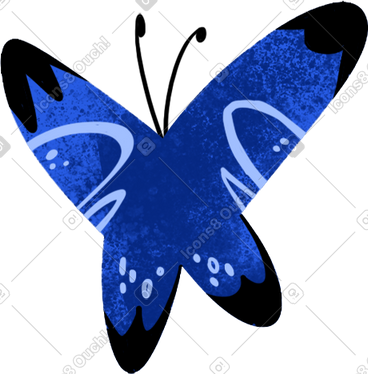 Blue butterfly PNG, SVG