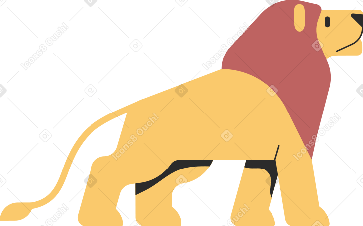 lion Illustration in PNG, SVG
