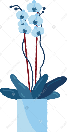 blue orchid Illustration in PNG, SVG