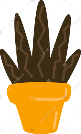 topfpflanze PNG, SVG