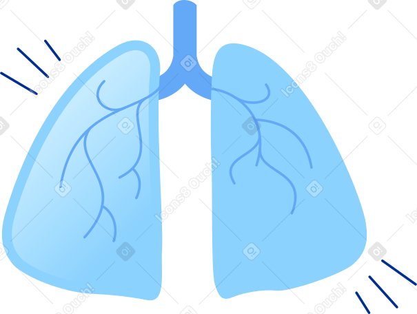 clear blue lungs Illustration in PNG, SVG