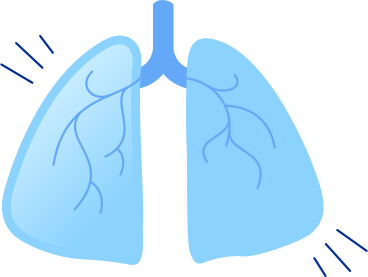 clear blue lungs PNG, SVG