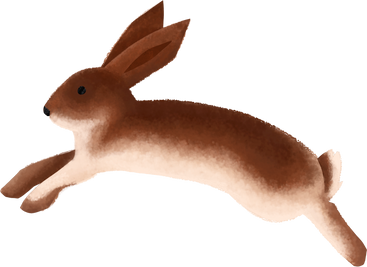 hare PNG, SVG