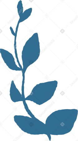 ветка с листьями украшения в PNG, SVG