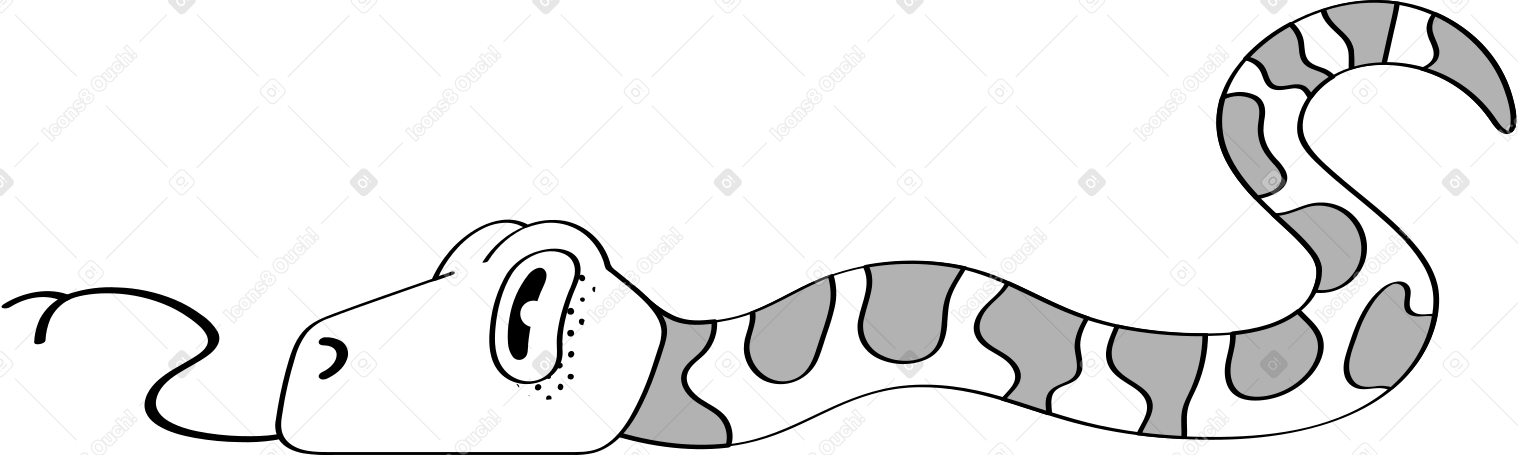 snake Illustration in PNG, SVG