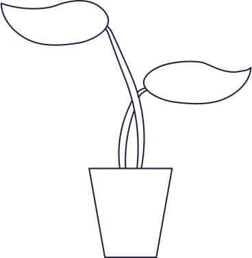 Ilustración animada de planta en GIF, Lottie (JSON), AE