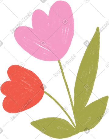 pink and red tulips PNG, SVG