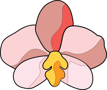 orchid flower PNG, SVG