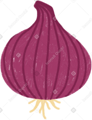 onion PNG, SVG