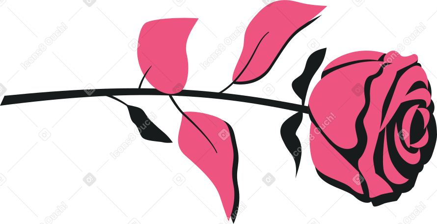 cut rose Illustration in PNG, SVG