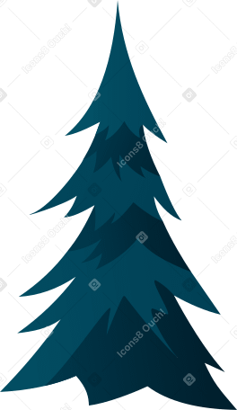 Голубая пушистая ель в PNG, SVG