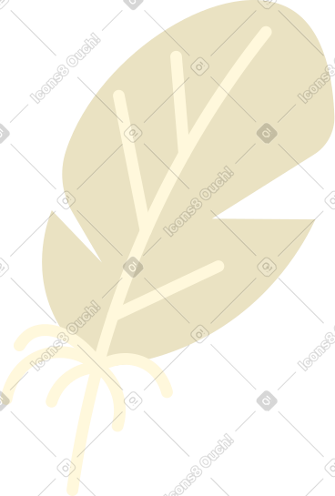 羽毛 PNG, SVG