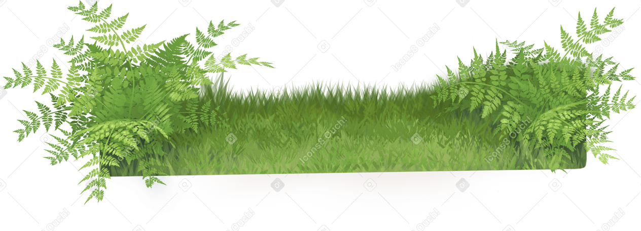 grass and fern PNG、SVG