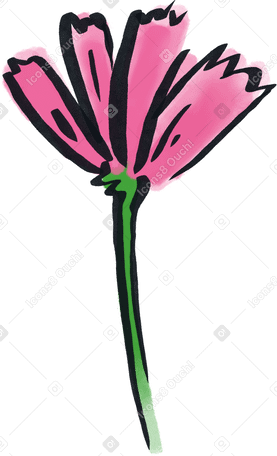 Fleur aquarelle rose PNG, SVG