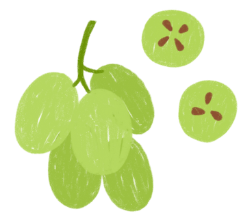 Green grape PNG, SVG