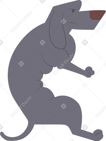 dachshund gray Illustration in PNG, SVG