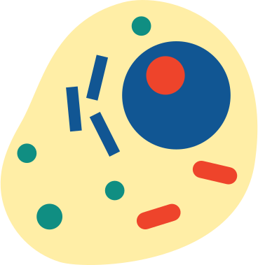 Human cell PNG, SVG