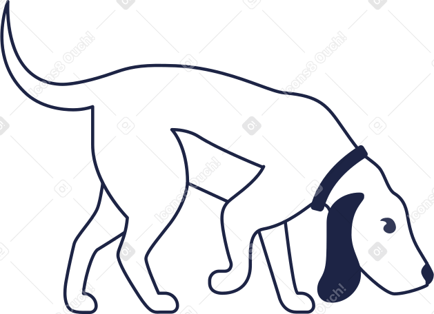 dog line Illustration in PNG, SVG