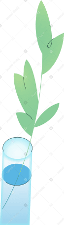 branch in a vase Illustration in PNG, SVG