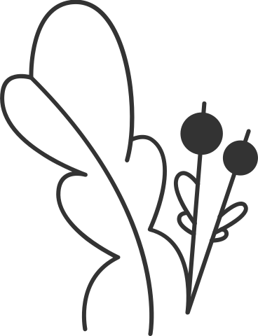 Leaf with berries PNG, SVG