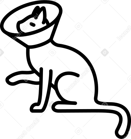 sitting cat with collar Illustration in PNG, SVG
