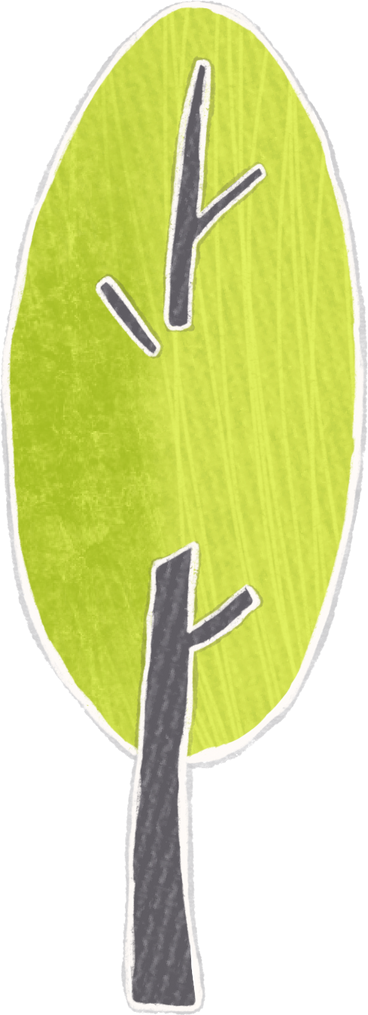 oval lime tree PNG, SVG