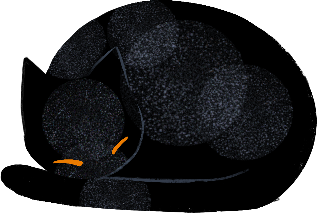 black cat Illustration in PNG, SVG