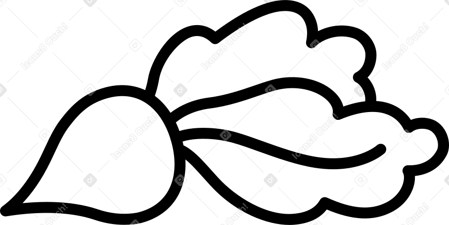 barbabietole con cime PNG, SVG