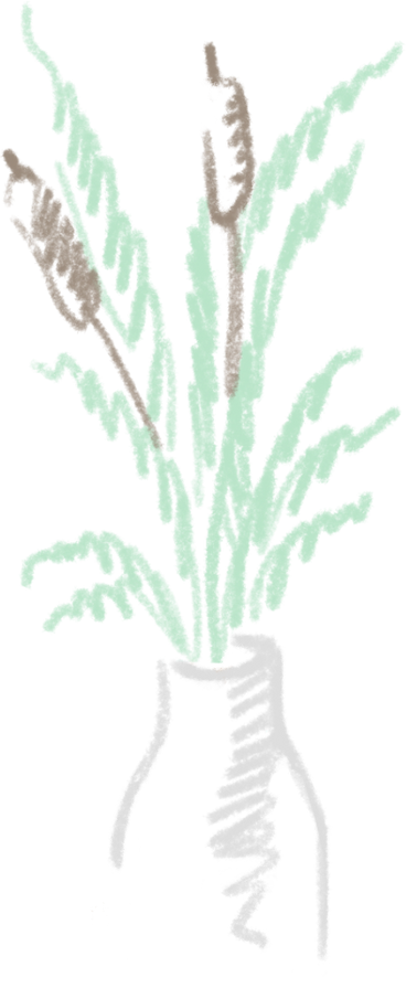 Cattails in a vase в PNG, SVG