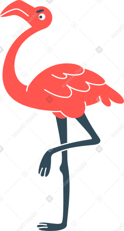 flamingo Illustration in PNG, SVG