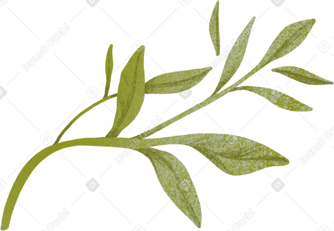 small curved twig with small leaves PNG、SVG