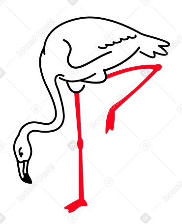 flamingos Illustration in PNG, SVG