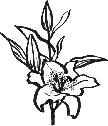 inky black minimalist lily PNG, SVG