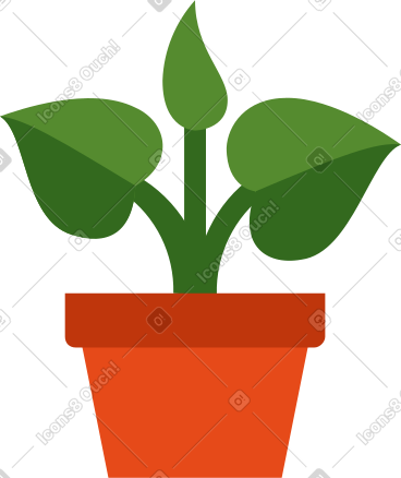 盆栽植物 PNG, SVG