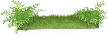 Grass and fern в PNG, SVG
