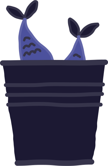 bucket of fish PNG, SVG