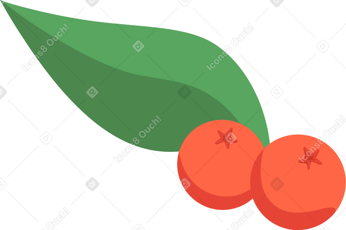 ashberryes with leave PNG, SVG