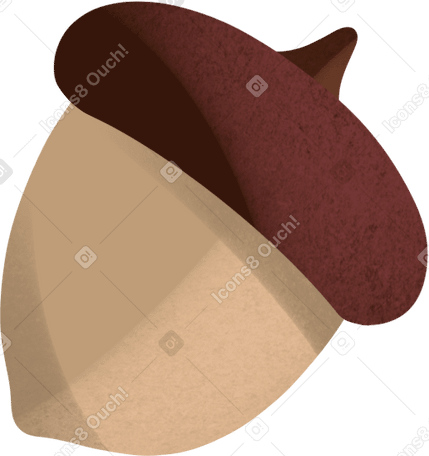 autumn acorn Illustration in PNG, SVG