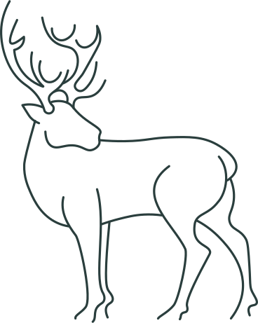 Deer PNG, SVG