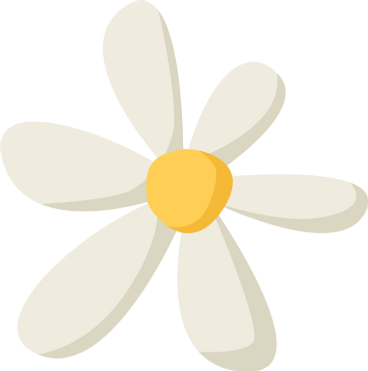 daisy PNG, SVG