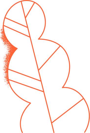 Vein red outline leaf PNG、SVG