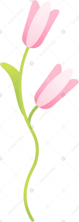 pink flowers PNG, SVG