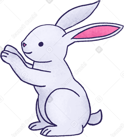 gray rabbit в PNG, SVG