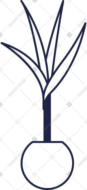 Plant line PNG, SVG