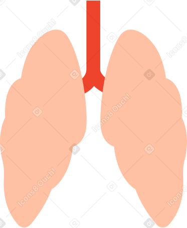 人間の肺 のpngとsvgでのイラスト