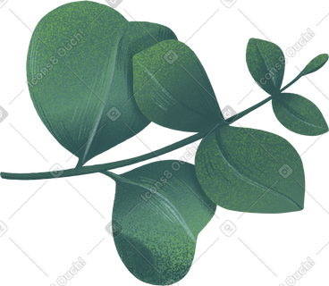 Dark sprig of eucalyptus leaves PNG, SVG