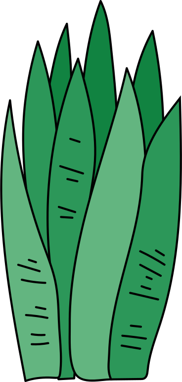 Planta de origen PNG, SVG