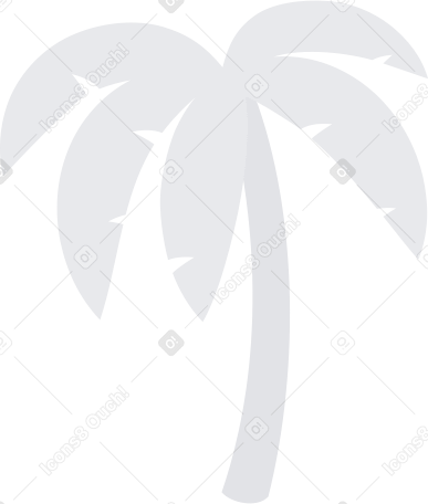 palm Illustration in PNG, SVG