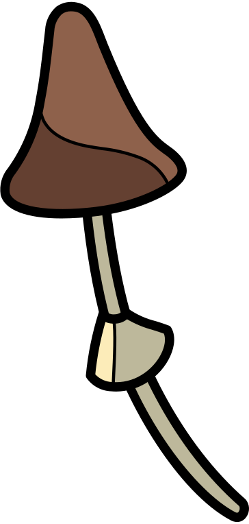 蘑菇 PNG, SVG