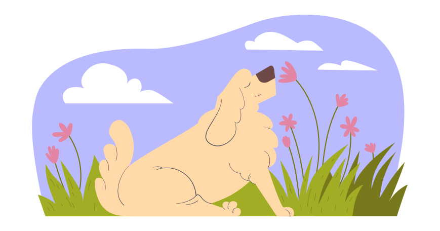 The dog enjoys nature and flowers Illustration in PNG, SVG